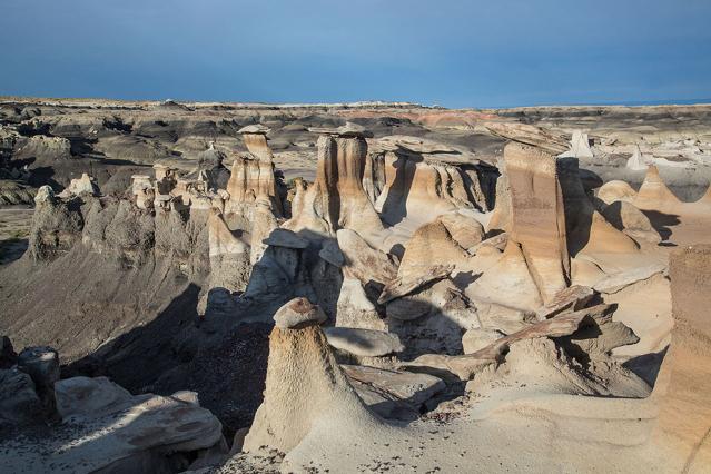 Bisti/De-Na-Zin Wilderness